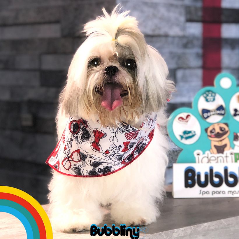 Campaña cachorros 6