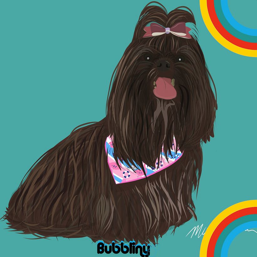 Campaña cachorros 7