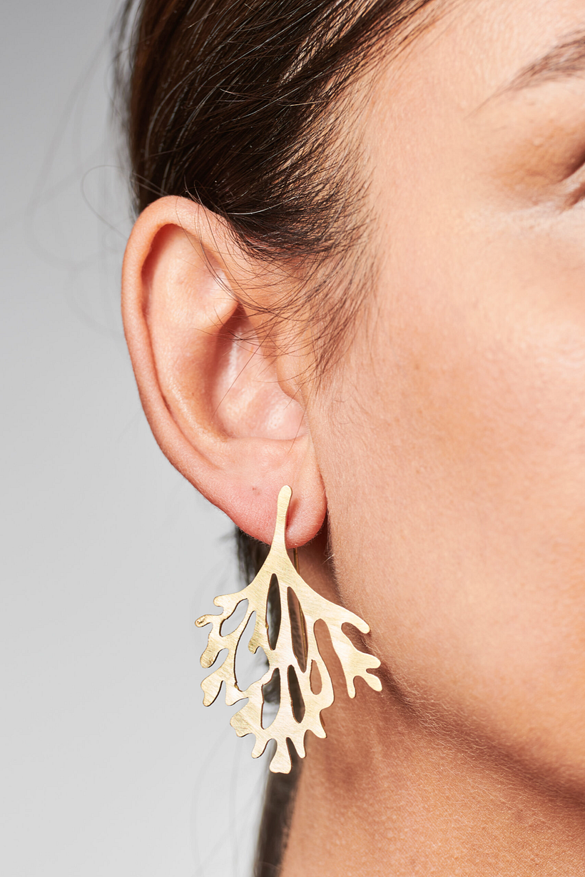 The Wild Origin - Earrings