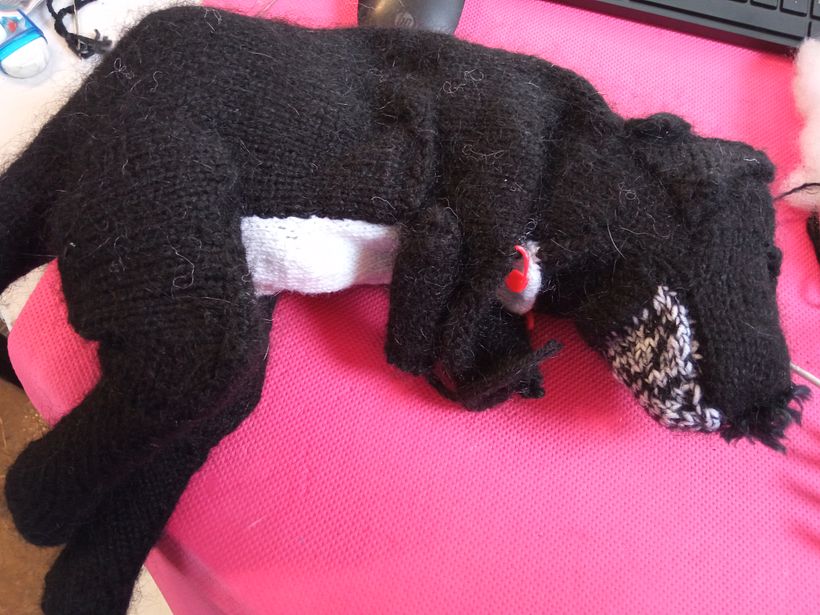 My project for course: Knitting Realistic Stuffed Animals: Make a Puppy from Yarn 7