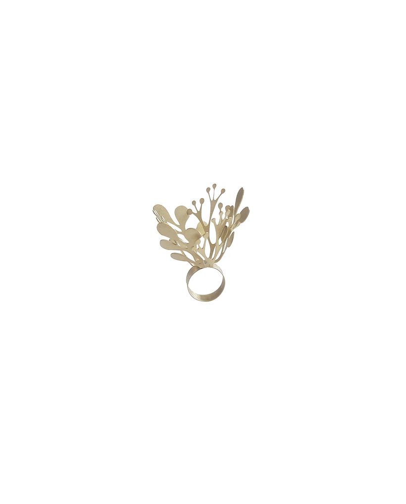 A Flower From Every Scar, ring