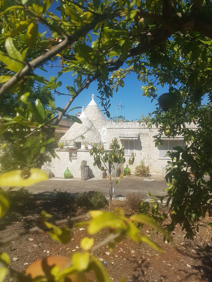 My family Artvilla in the Apulian countryside. A place where i love to go anytime i need to reconnect with Nature.