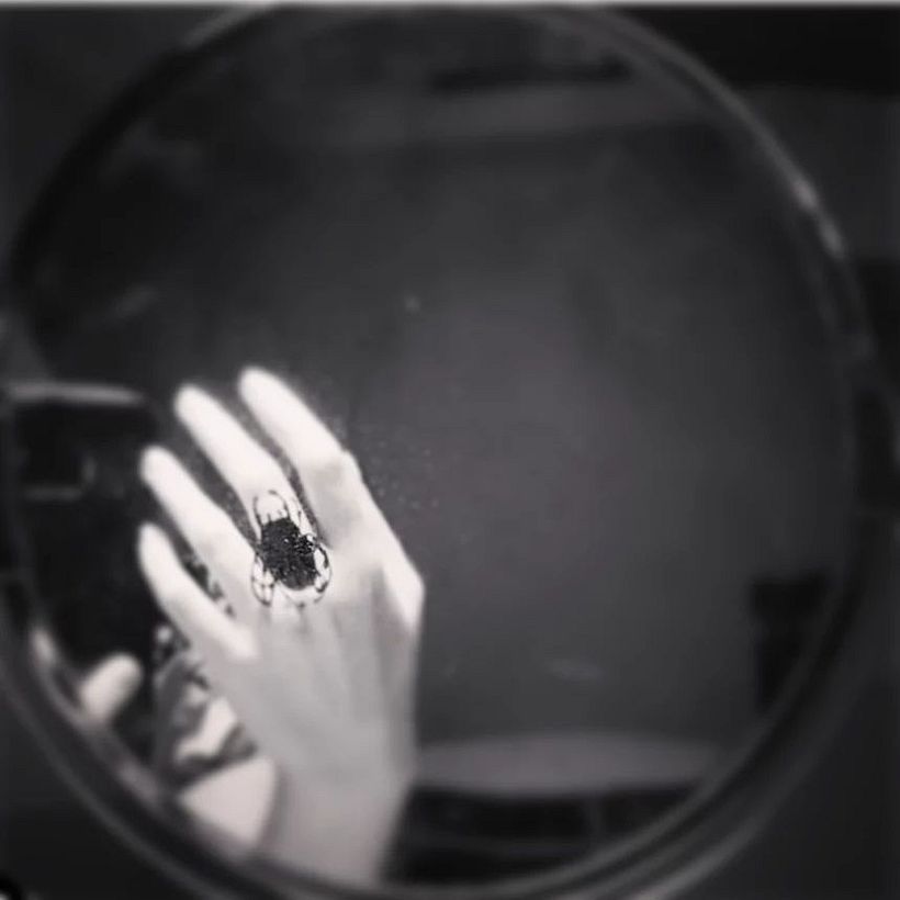 The Metamorphosis - Ring