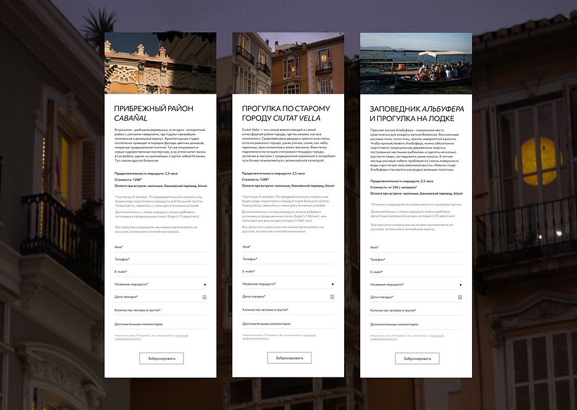 Valencia Journal Website  7