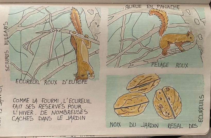 Mon projet du cours : Journal intime illustré : pratiquez au quotidien la pleine conscience 5