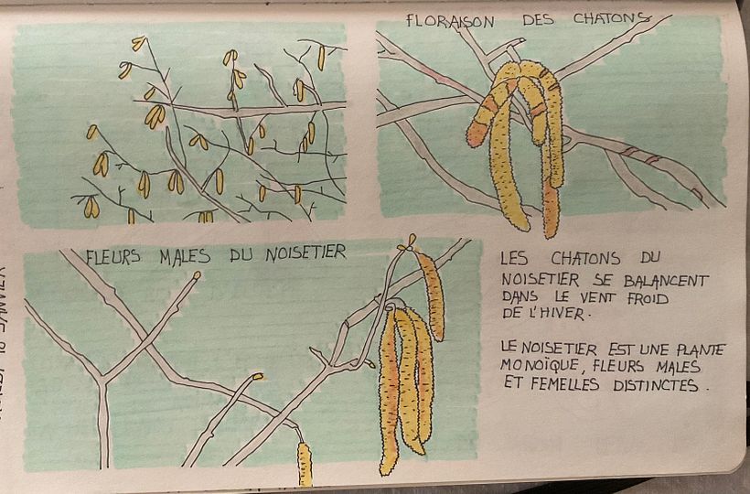 Mon projet du cours : Journal intime illustré : pratiquez au quotidien la pleine conscience 7