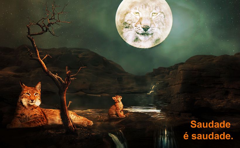 Saudade é saudade 1