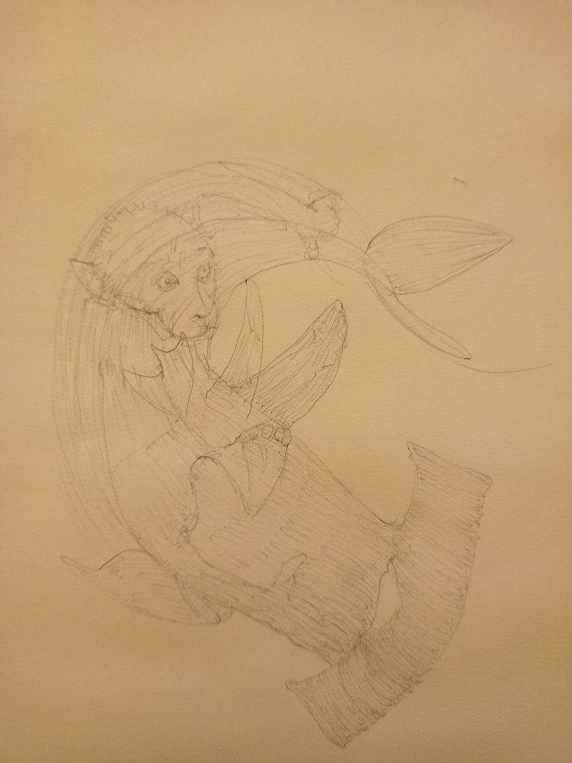 Step 2  : drawing other animal (Hammer fish)