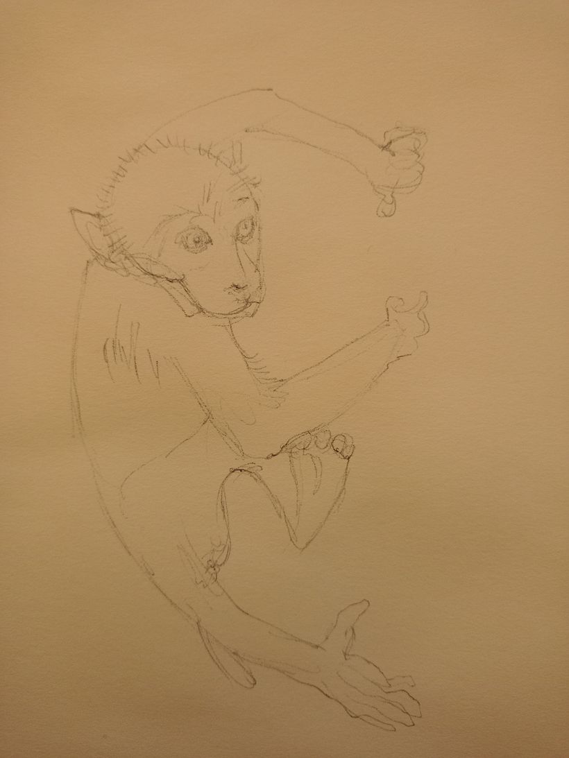 Step 1: First drawing (a monkey)