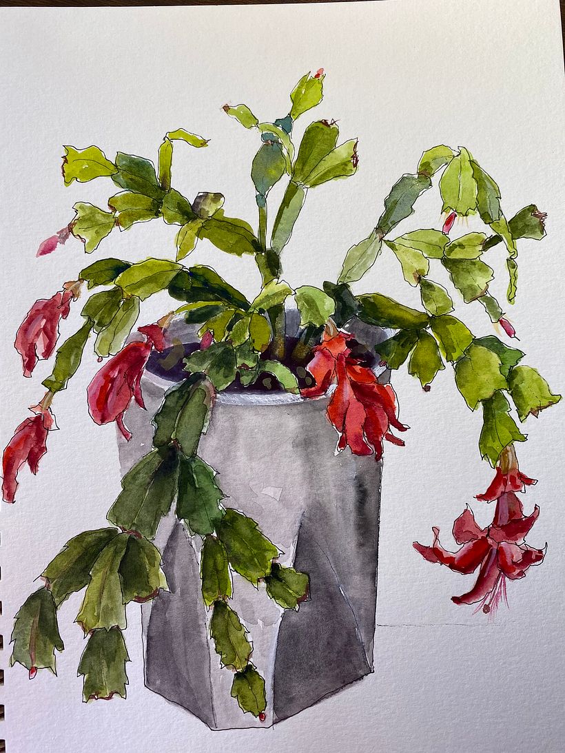 My project for course: Botanical Sketchbooking: A Meditative Approach 2