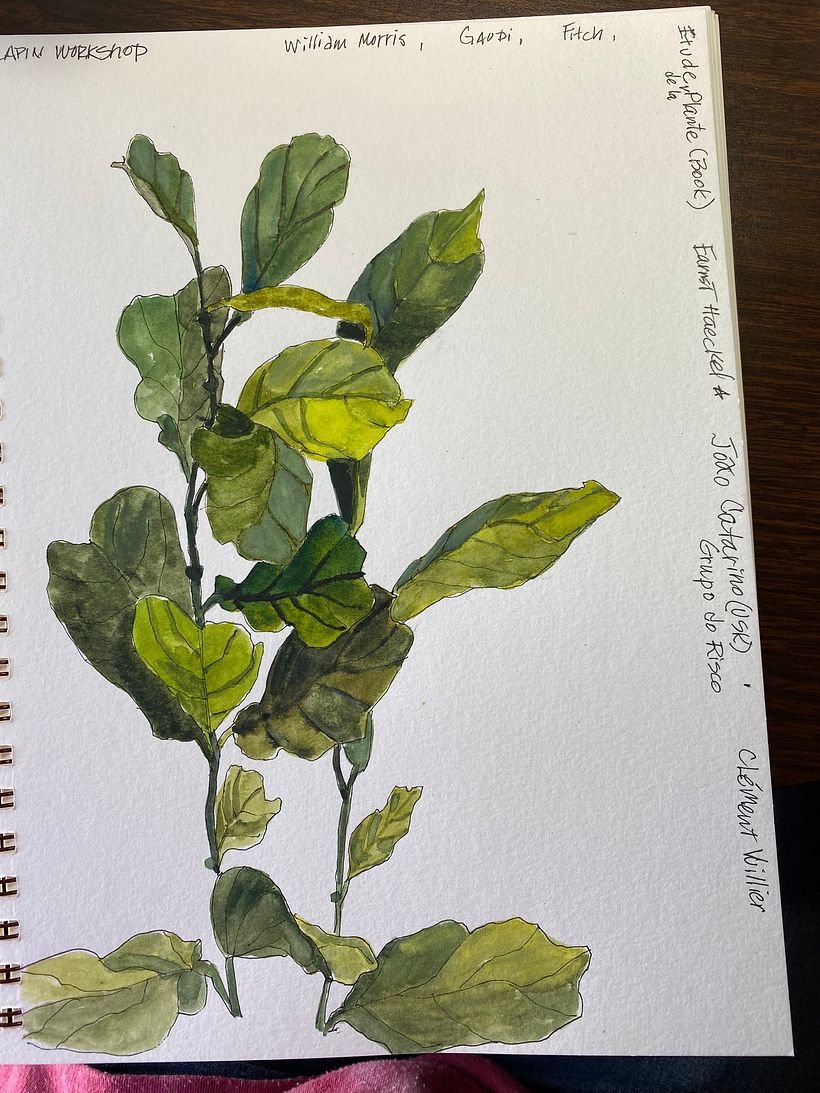 My project for course: Botanical Sketchbooking: A Meditative Approach 3