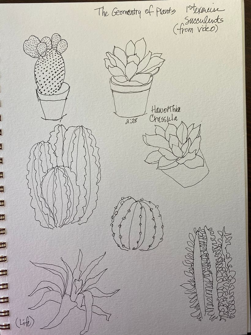 My project for course: Botanical Sketchbooking: A Meditative Approach 5
