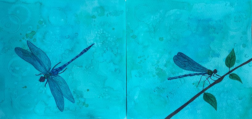 One of my favorite image. They look like they are on water.
