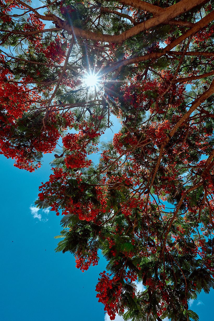 Sertão - Paraíba - Brazil