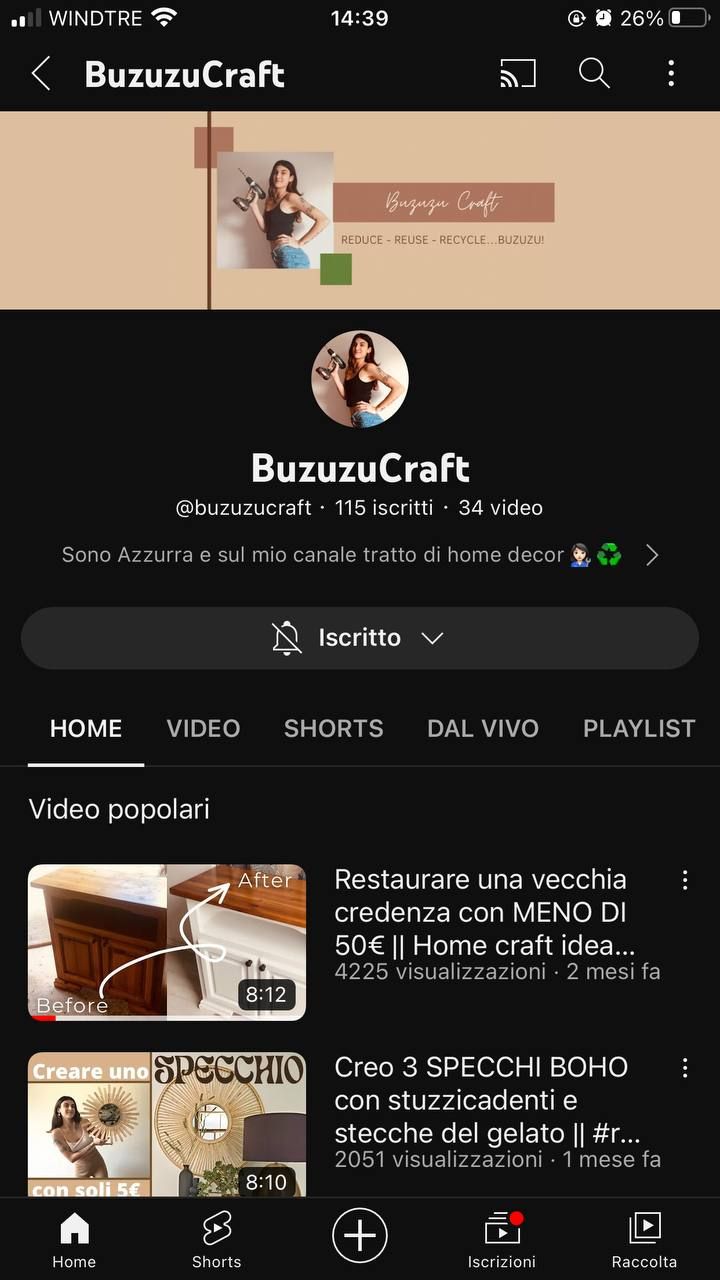 Buzuzucraft : il mio primo canale YouTube sul riciclo, sul restauro e sul laidate, per una vita più sostenibile!