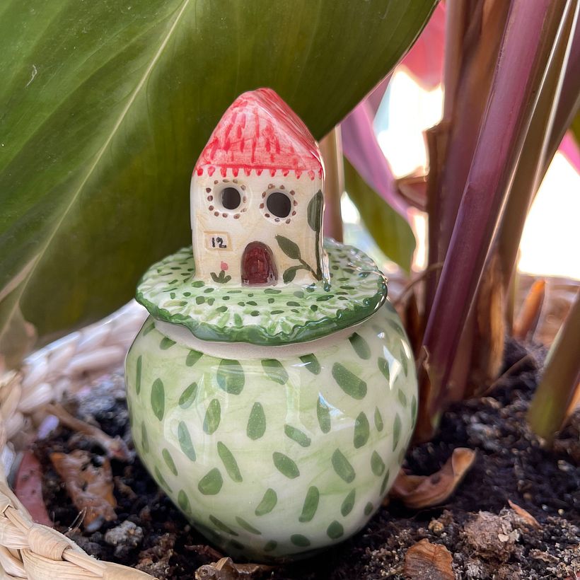 Il mio progetto del corso: Ceramica: design e creazione di opere di auto irrigazione 2