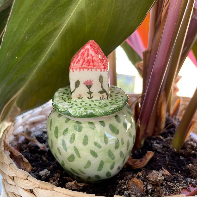 Il mio progetto del corso: Ceramica: design e creazione di opere di auto irrigazione 3
