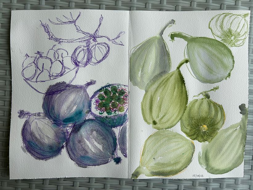 My project for course: Illustrating Nature: A Creative Exploration 7