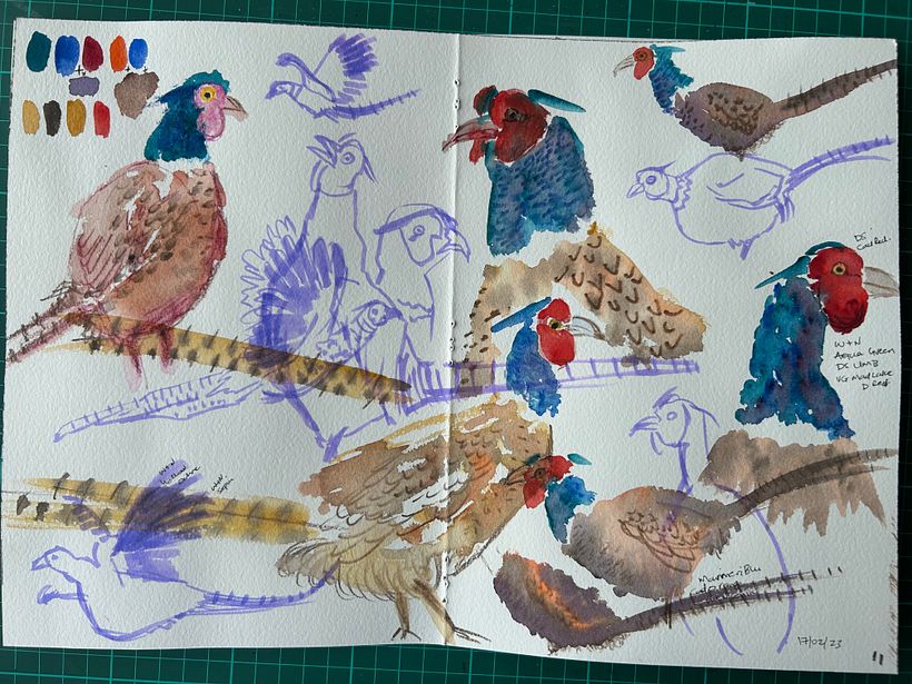 My project for course: Illustrating Nature: A Creative Exploration 10