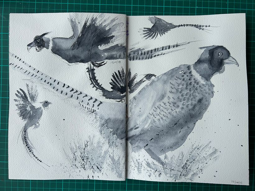 My project for course: Illustrating Nature: A Creative Exploration 11