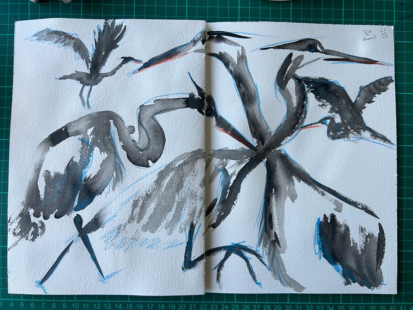 My project for course: Illustrating Nature: A Creative Exploration 12