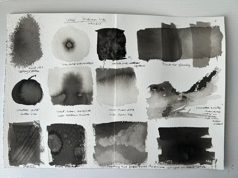 My project for course: Illustrating Nature: A Creative Exploration 18