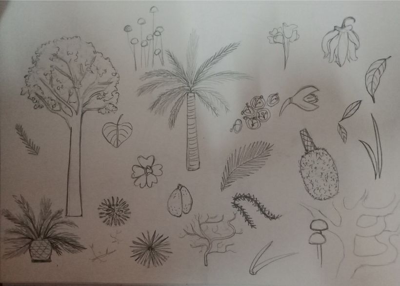 Sketches
