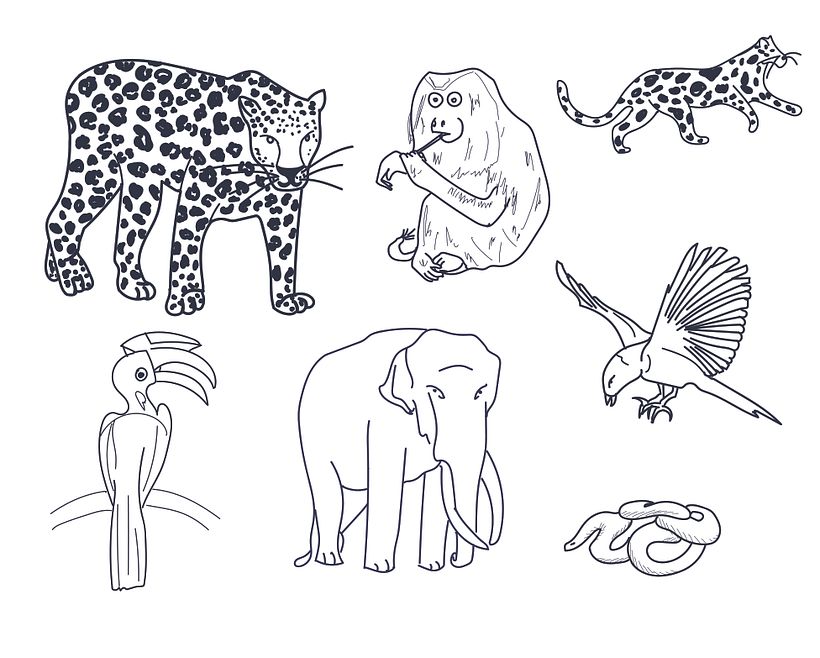 My project for course: Digital Pattern Illustration Inspired by Flora and Fauna 6