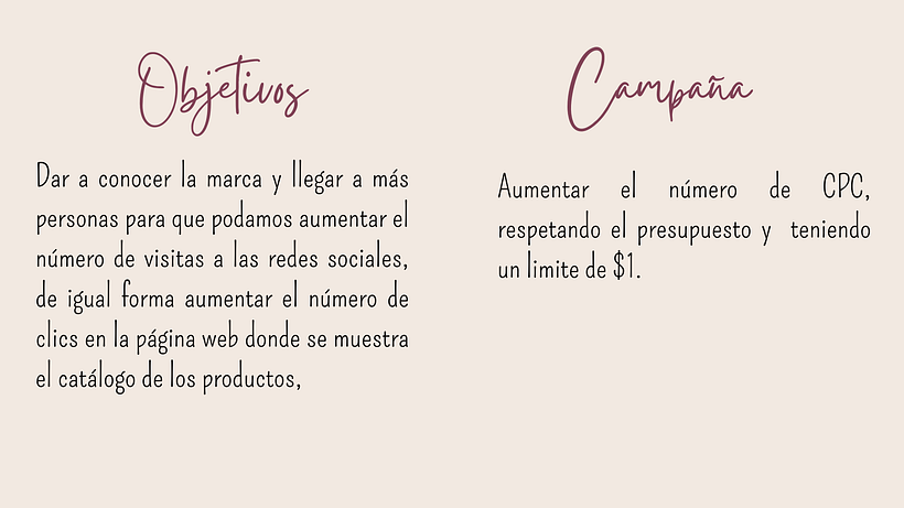 Mi proyecto del curso: Introducción al SEM: aprende Google Ads desde cero 2