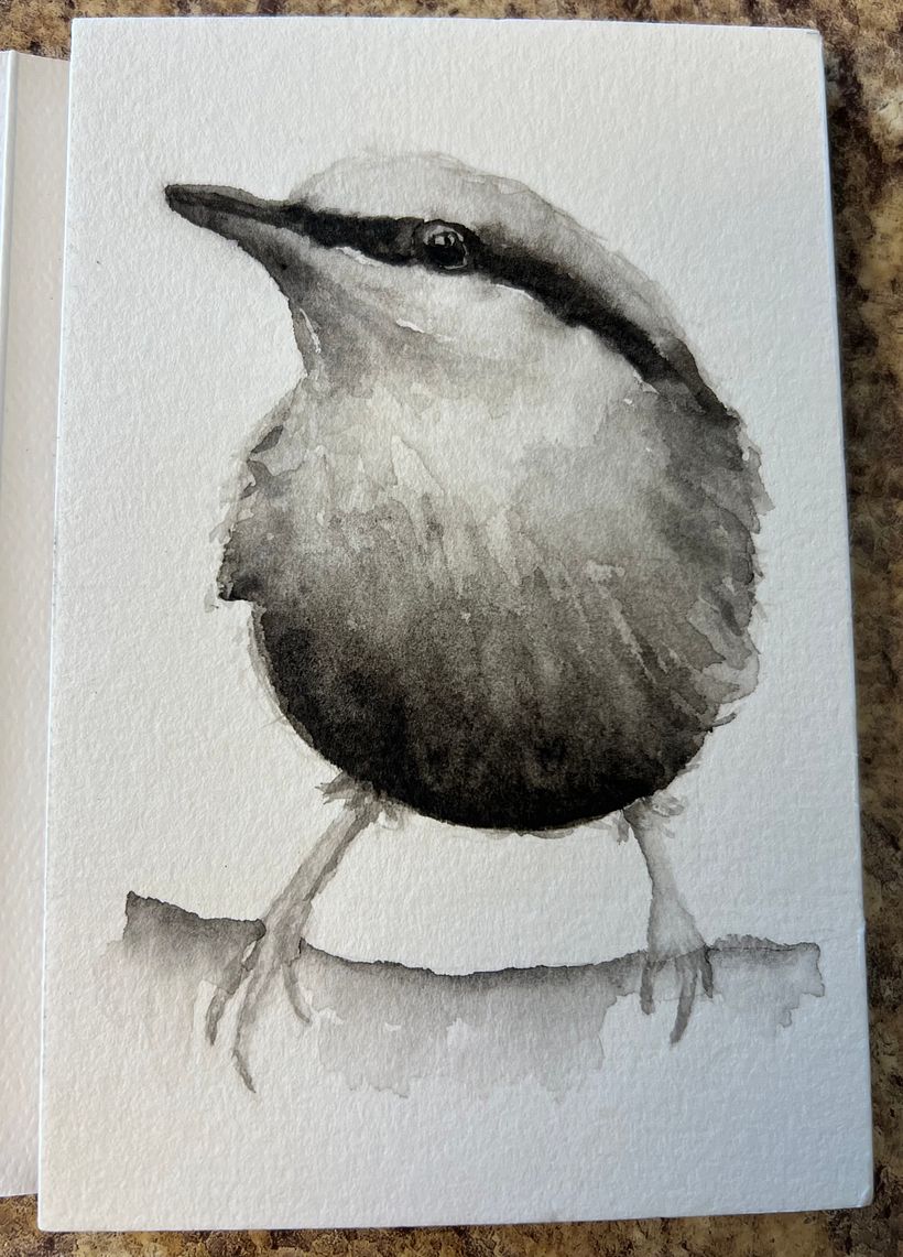 Tiny Bird, watercolor using black 1