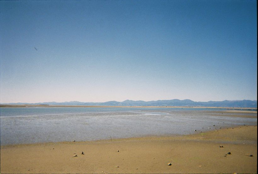 Beach on film  3