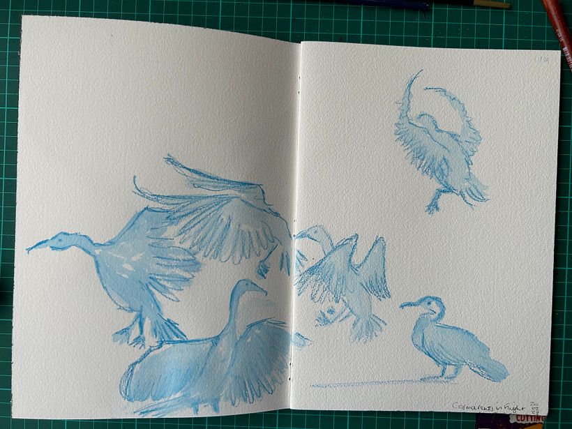 My project for course: Illustrating Nature: A Creative Exploration 20