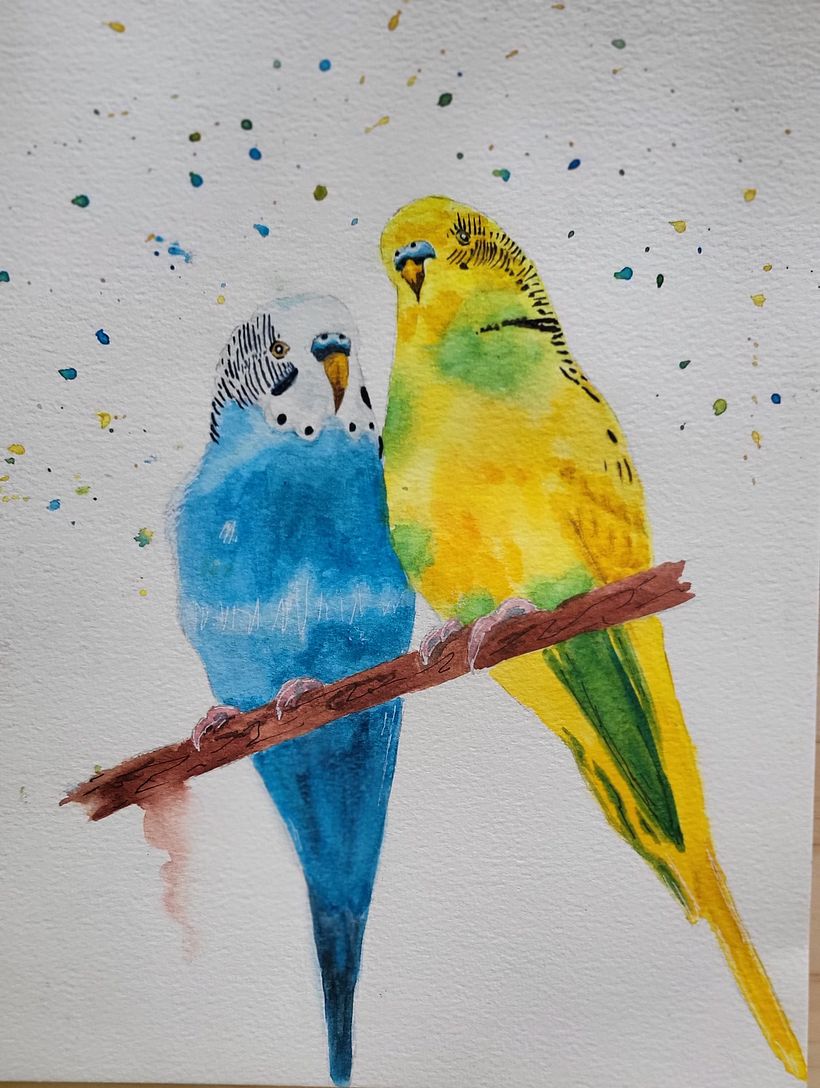 I went on the paint these budgies that remind me of my childhood