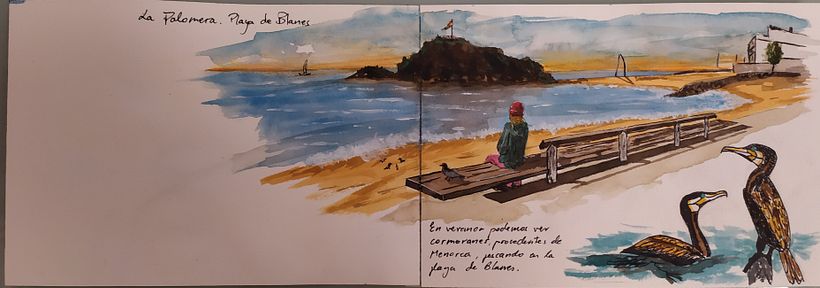 Cormoranes pintados y primeras frases escritas