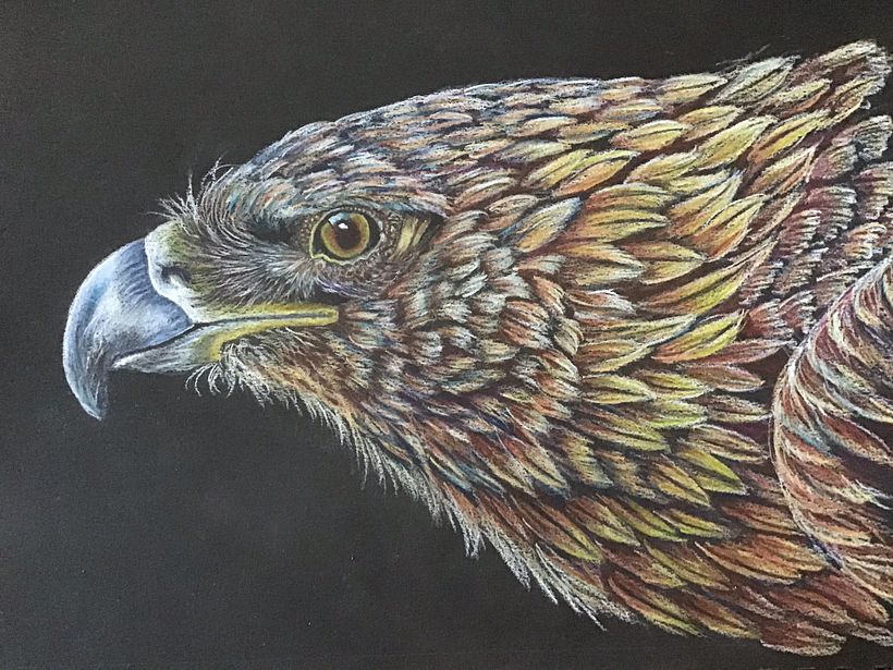 Coloured pencils on 9x12 Canson Mix Media Black 