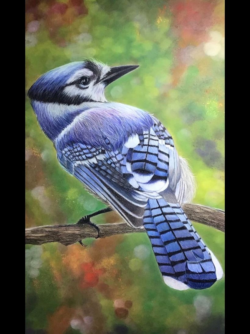 06/20 Coloured pencils, pan pastels on 19x27 Strathmore tone grey paper 