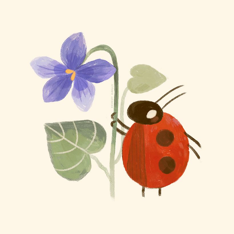 Ladybird 1