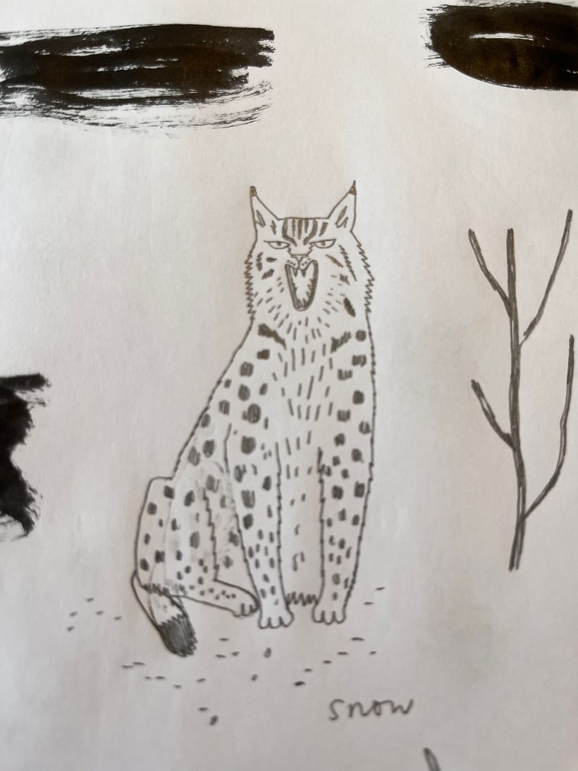 favourite lynx  -  sorry  it's blurry