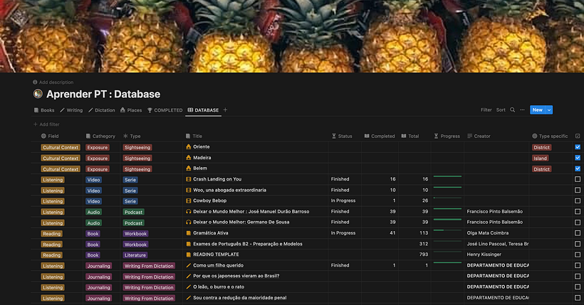 My Dashboard/Database designed for learning the Portuguese Language.  3