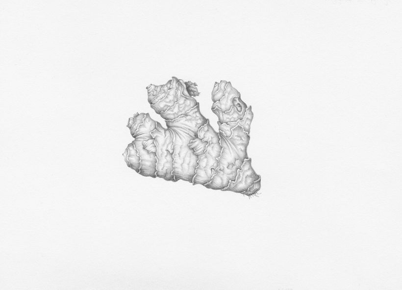 Ginger Root