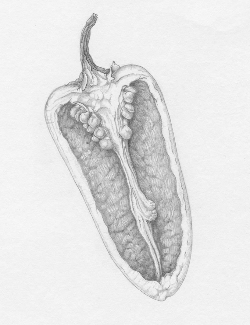 Pepper