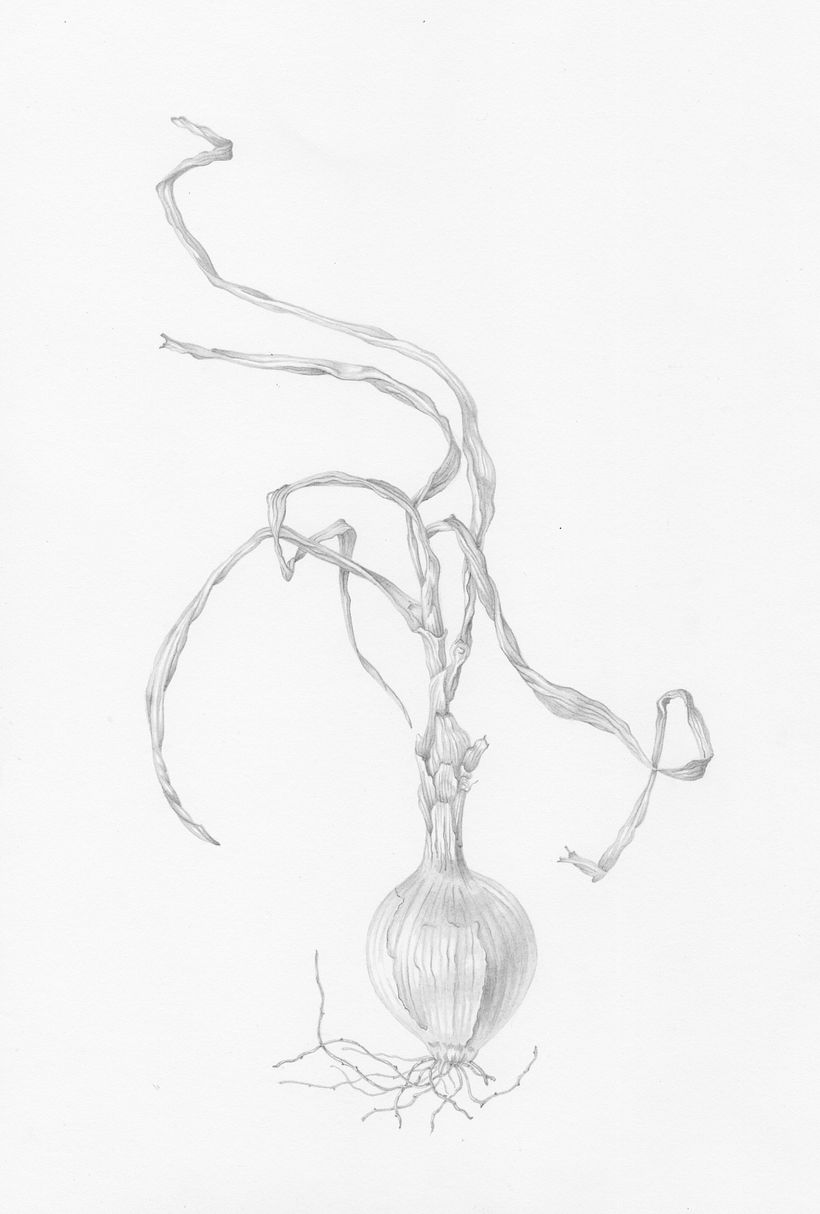 Dancing Onion
