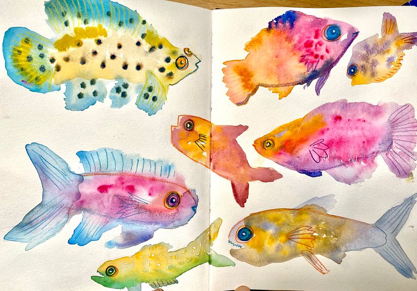 Tropical Fish