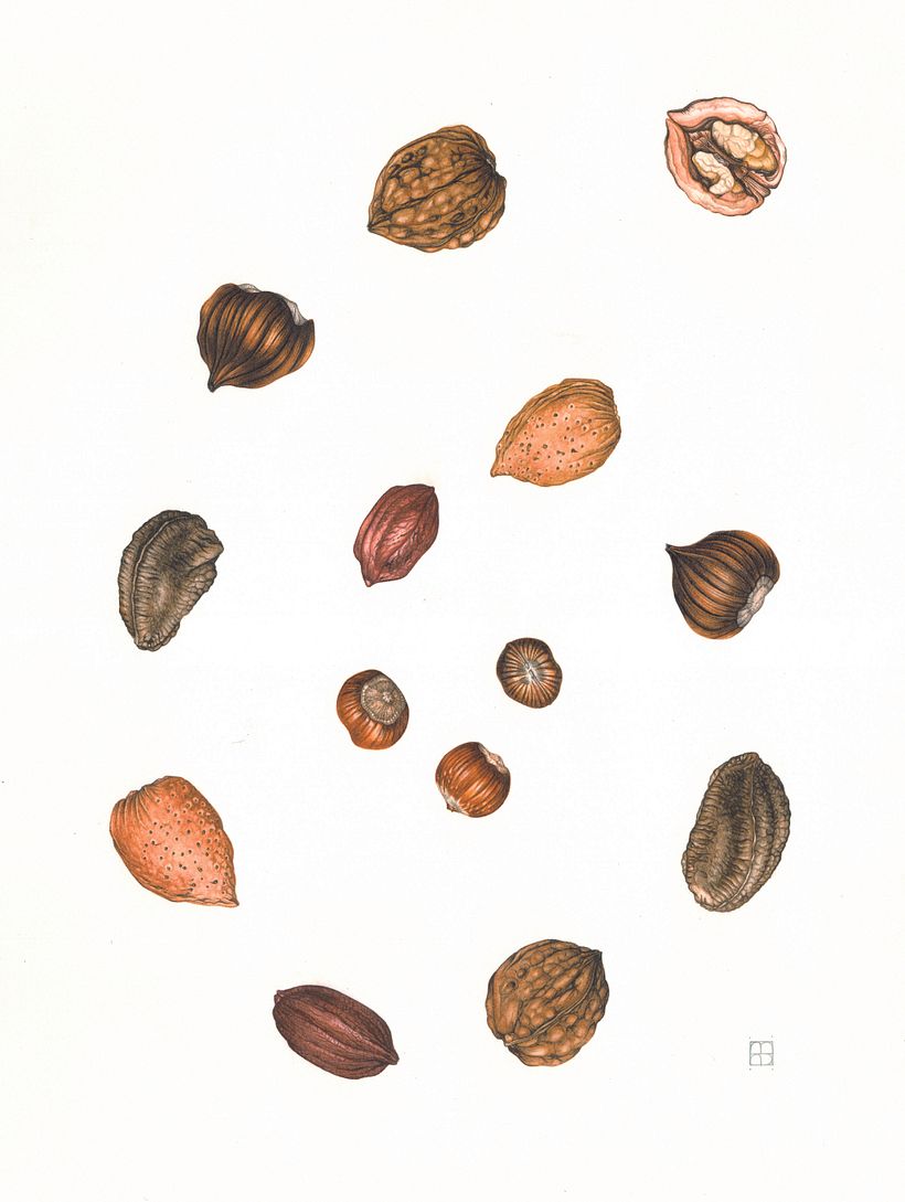 Nut Spiral