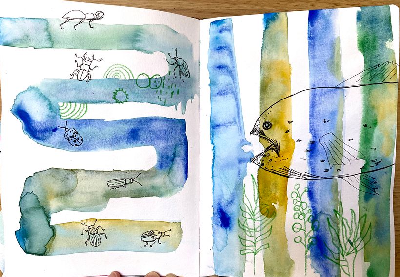 Washed out insects