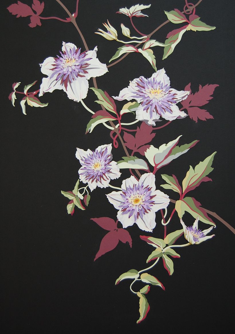 Clematis