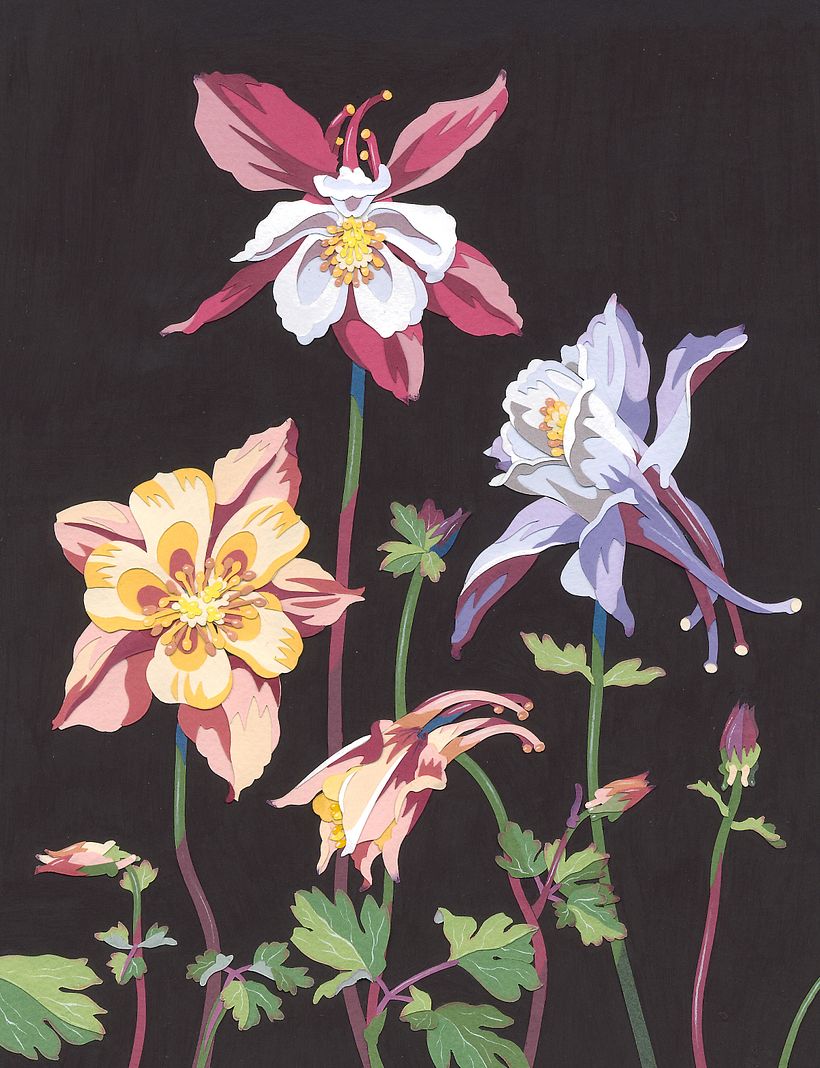Columbine