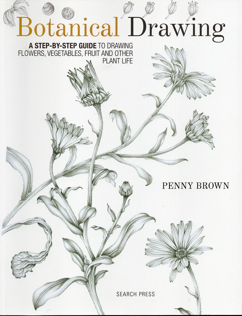Botanical drawing - A step by step guide  1