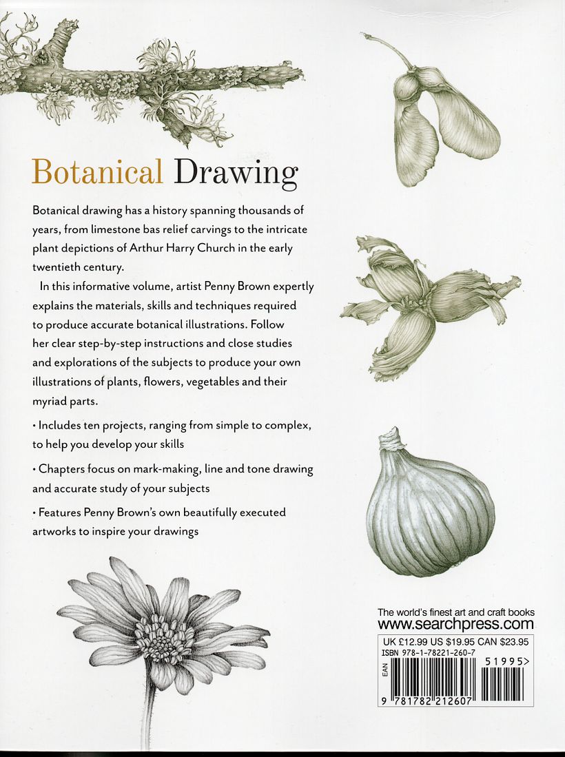 Botanical drawing - A step by step guide  2
