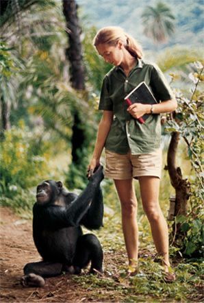 My project for course: Colorful Jane Goodall Illustration 5
